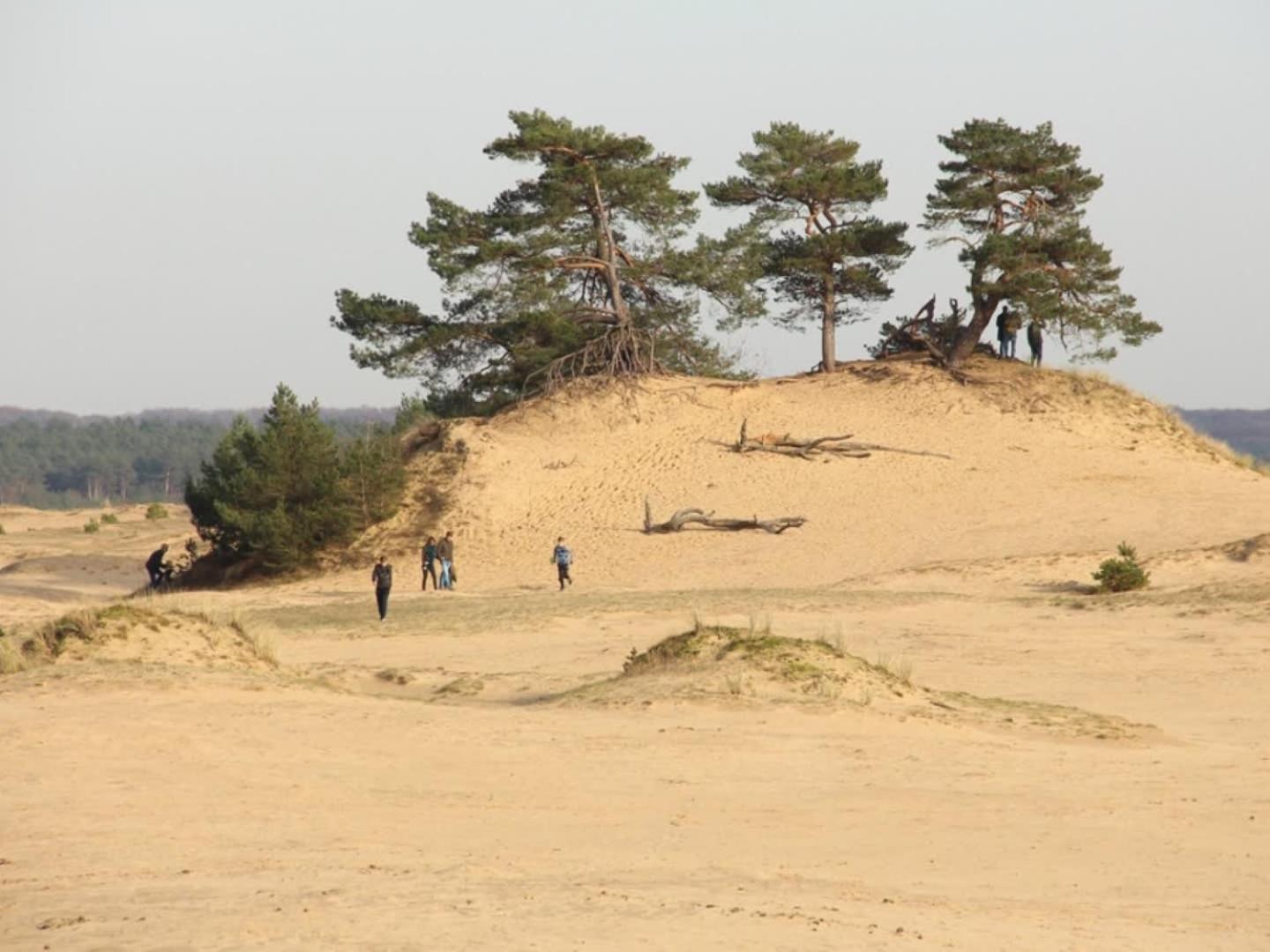 Vakantiehuis Op Rustig Bospark Veluwe Voorthuizen Ngoại thất bức ảnh