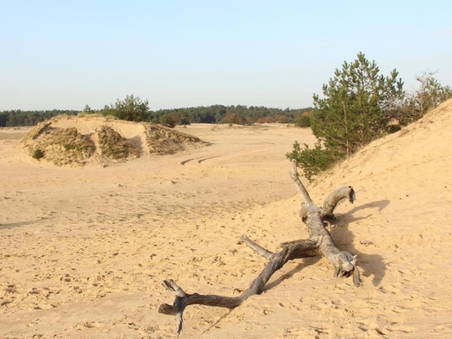 Vakantiehuis Op Rustig Bospark Veluwe Voorthuizen Ngoại thất bức ảnh