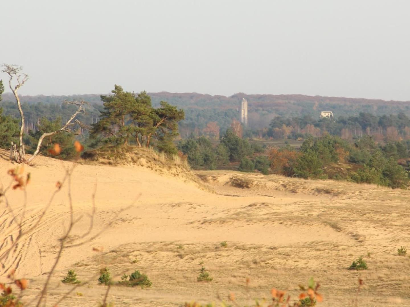 Vakantiehuis Op Rustig Bospark Veluwe Voorthuizen Ngoại thất bức ảnh
