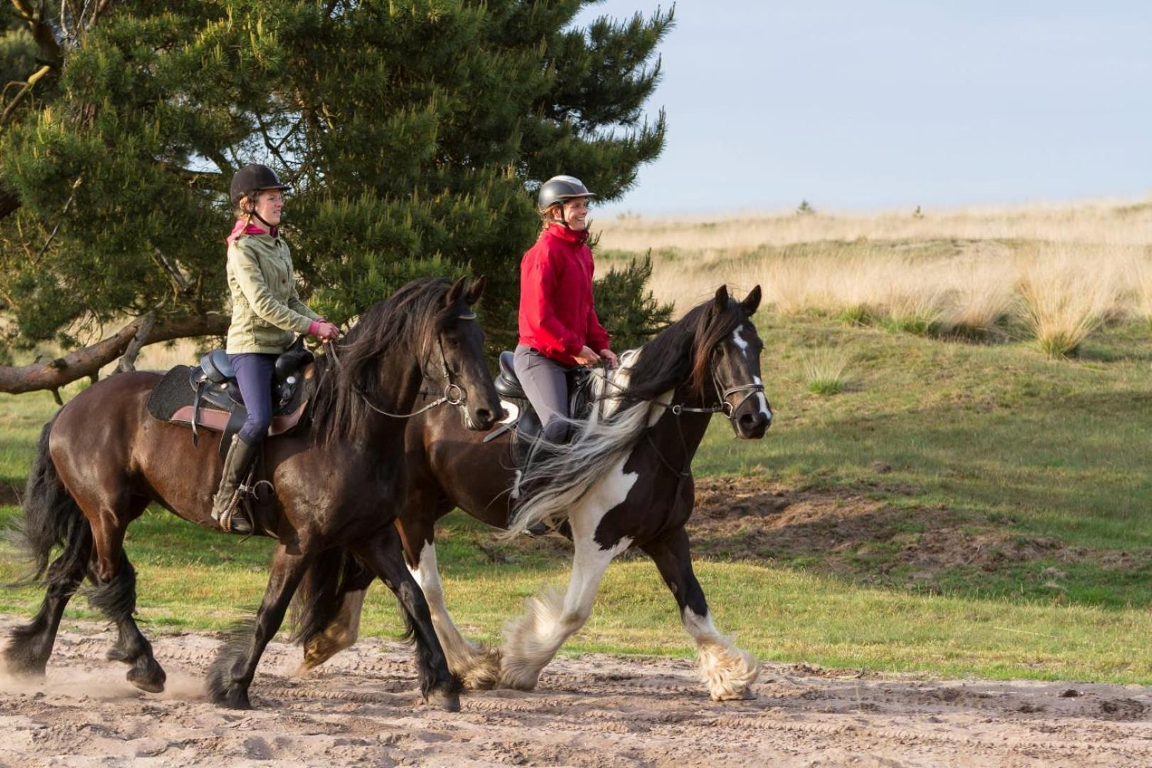 Vakantiehuis Op Rustig Bospark Veluwe Voorthuizen Ngoại thất bức ảnh