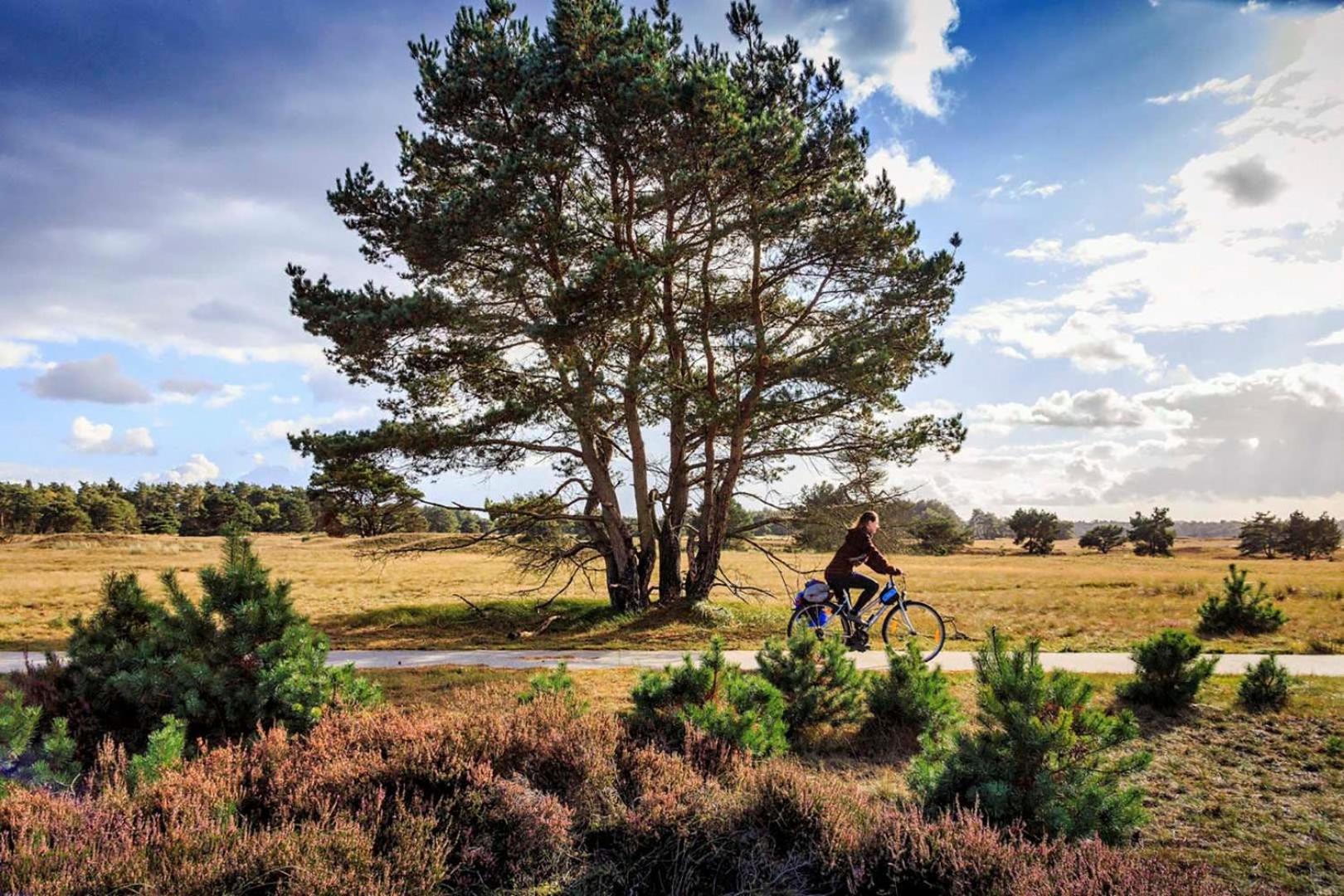 Vakantiehuis Op Rustig Bospark Veluwe Voorthuizen Ngoại thất bức ảnh