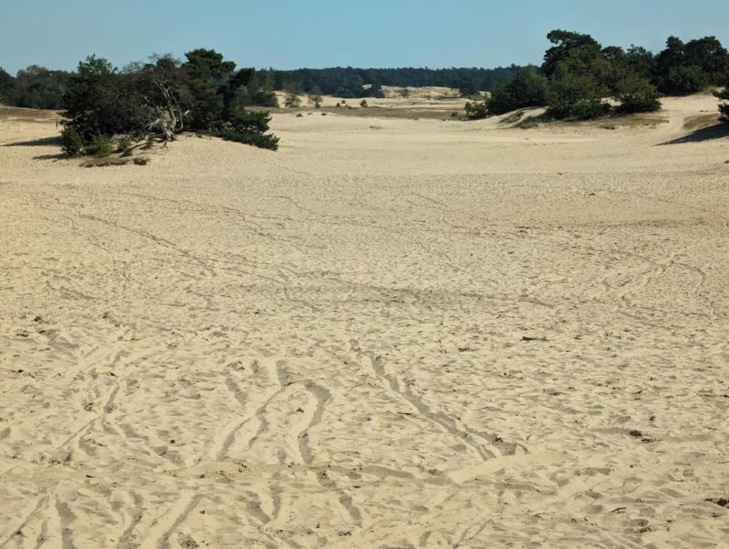 Vakantiehuis Op Rustig Bospark Veluwe Voorthuizen Ngoại thất bức ảnh