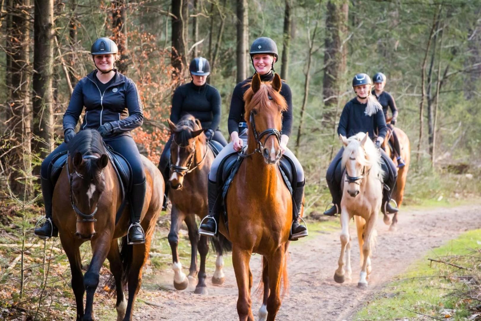 Vakantiehuis Op Rustig Bospark Veluwe Voorthuizen Ngoại thất bức ảnh