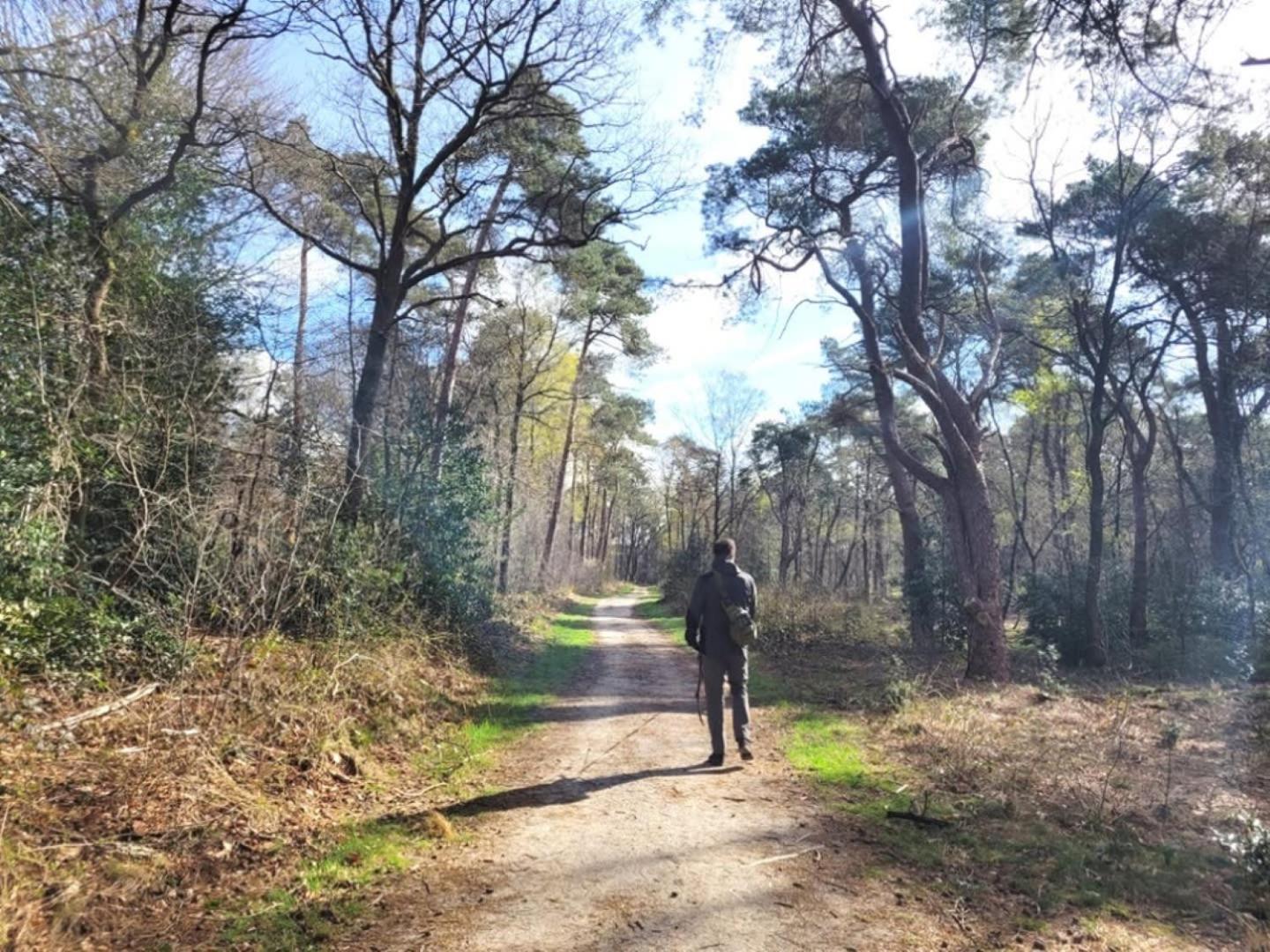 Vakantiehuis Op Rustig Bospark Veluwe Voorthuizen Ngoại thất bức ảnh